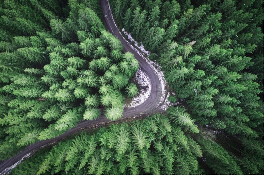 An aerial photography drone shot of a road running through a forest.